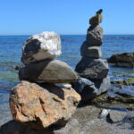 Stenrösen på stranden i Fuengirola.