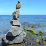 Stenrösen på stranden i Fuengirola.
